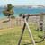 Saldanha